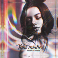 Amir Roul Ft Shahrad - Yani Mishe