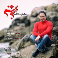 Khashayar Etemadi - Bargashtam