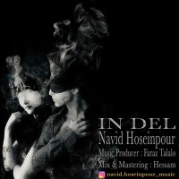 Navid Hosseinpour - In Del