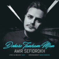 Amir Sefidrokh - Dobare Tanham Man