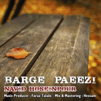 Navid Hosseinpour - Barge Paeizi