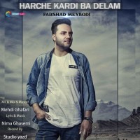 Farshad Meybodi - Harche Kardi Ba Delam
