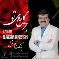 Babak Radmanesh - Joz Gole Rooye To