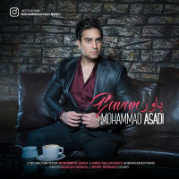 Mohammad Asadi - Bavar