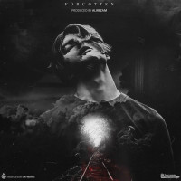 Alirezam - Forgotten