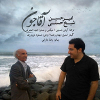 Amir Hossein Sheikh Hassani - Agha Joon