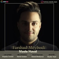 Farshad Meybodi - Maste Havat