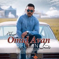 Omid Avan - Deltang