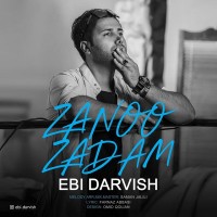 Ebi Darvish - Zanoo Zadam
