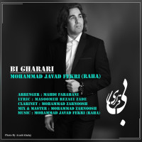 Mohammad Javad Fekri - Bigharari