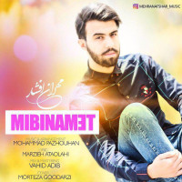 Mehran Afshar - Mibinamet