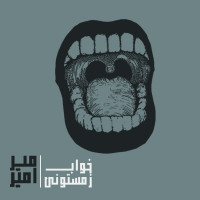 Mir Amir - Khabe Zemestooni