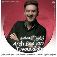 Mehrdad Jafari - Are Bad Joori Divoonatam