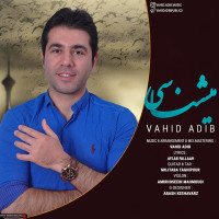 Vahid Adib - Mishnasi