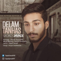 Sajad Javadi - Delam Tanhas