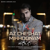Zoheir Nadalizadeh - Az Cheshat Mikhoonam
