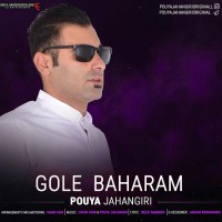 Pouya Jahangiri - Gole Baharam