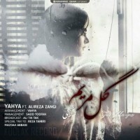 Alireza Zangi Ft Yahya - Gole Maryam