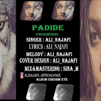 Ali Najafi - Padideh