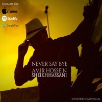 Amir Hossein Sheikh Hassani - Never Say Bye