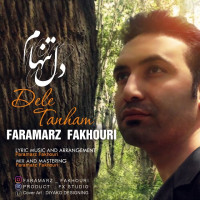 Faramarz Fakhouri - Dele Tanham