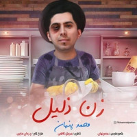 Mohammad Penhan - Zan Zalil