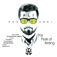 Ali Hosseinmardi - The Peak Of Feeling