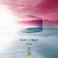 Daal Band - Here I Wait ( Remix )