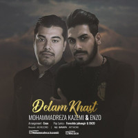 Mohammadreza Kazemi & Enzo - Delam Khast