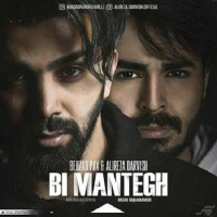 Behzad Pax & Alireza Darvishi - Bi Mantegh