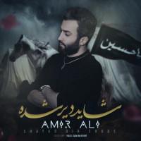 Amir Ali - Shayad Dir Shode
