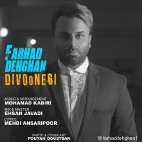 Farhad Dehghan - Divoonegi