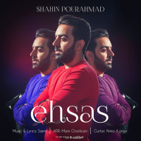 Shahin Pourahmad - Ehsas