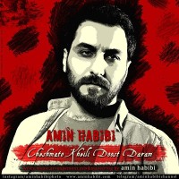 Amin Habibi - Cheshmato Kheyli Doost Daram