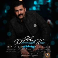 Majid Azizi - Parandakem
