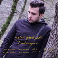 Milad Gholizadeh - Tanhaeyam