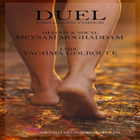 Meysam Moghaddam - Duel