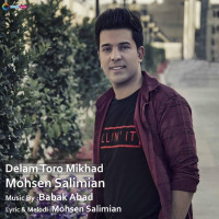 Mohsen Salimian - Delam Toro Mikhad