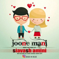 Siavash Amini - Joone Mani