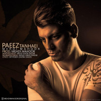 Mehdi Mahoor - Paeiz Tanhaei