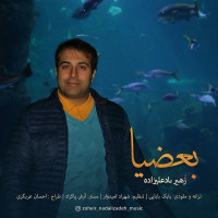 Zoheir Nadalizadeh - Baziya