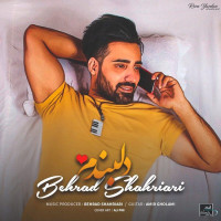 Behrad Shahriari - Delbandam