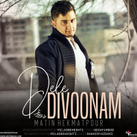 Matin Hekmatpour - Dele Divoonam