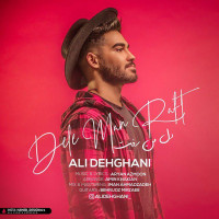 Ali Dehghani - Dele Man Raft