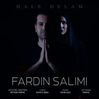 Fardin Salimi - Hale Delam