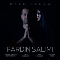 Fardin Salimi - Hale Delam