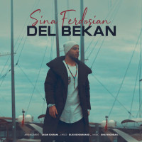 Sina Ferdosian - Del Bekan