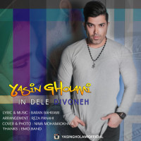 Yasin Gholami - In Dele Divooneh