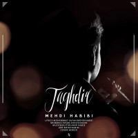 Mehdi Habibi - Taghdir