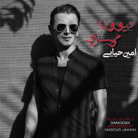 Amin Hayaei - Divoone Misazi